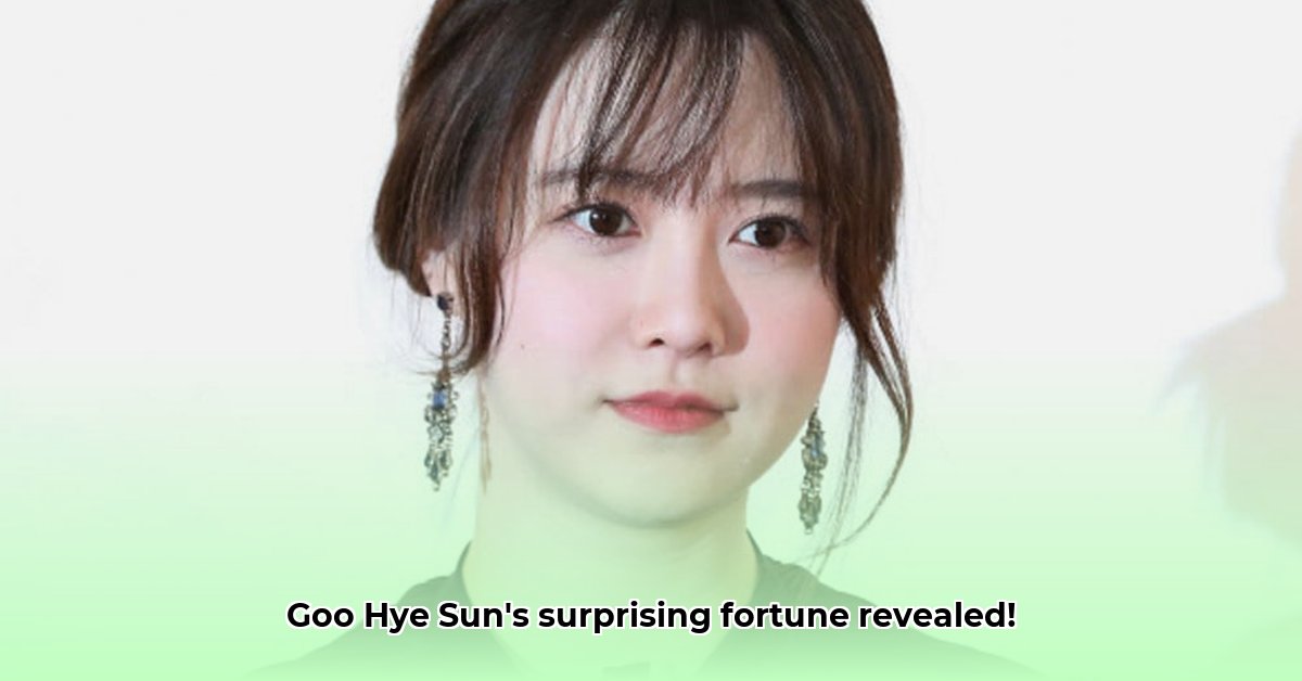 goo-hye-sun-net-worth